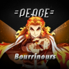 Bourrinours