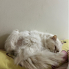 มิuเนีeu
