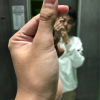 nnon