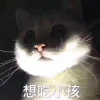 光暗还要等多久
