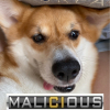 Rein-