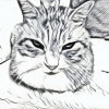 ミニクック