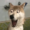ZzZzZzZz