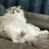 还想让我充钱？