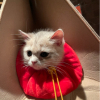 ♥大力出奇迹♥