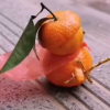 無心痞浪ฅꙪฅ