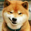哔啵哔啵哔