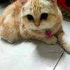 [PT`]$paRRow