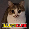 Chinzillaa