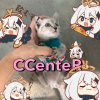 CCenteR-