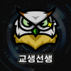 교생선생