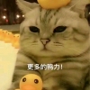 (｀_´)ゞ