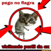 REVERSO_✓
