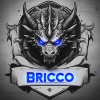 ¿Briccoboss¿