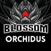 Orchidus