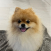 슭슭