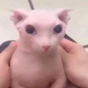 ᴊɪʀᴏ