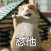 我乃常山囤囤鼠