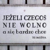 leniwiec91