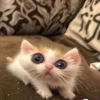 LouderThanHell
