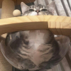 Fluffles