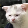 행운