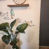 SoL.회색별