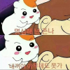 윈드나인