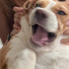 kotnk