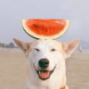 拍熊