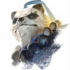 Dinaraï