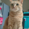 Venus<3