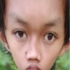 si_bomek