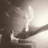 [SerViuM]