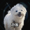 시진핑
