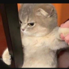 ᴘʀᴏᴜᴅ®
