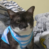 MR:Toey