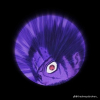 ►Ŵ✪rms3Ð"s
