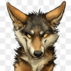 CoyoteFou86