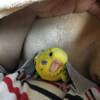 ㍻パンプキング