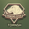 tornsh