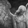 GuardianAngels