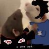 po0ns1ay3r