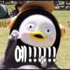 구름구경