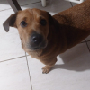 Posa