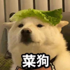 隐 