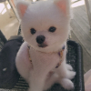 준섭소이