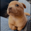 DiegoLeo