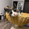 大城༄༢轩神࿐