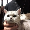 一只皮卡丘哦